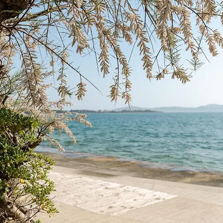 Luma Diklo * Zadar