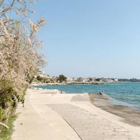 Luma Diklo * Zadar
